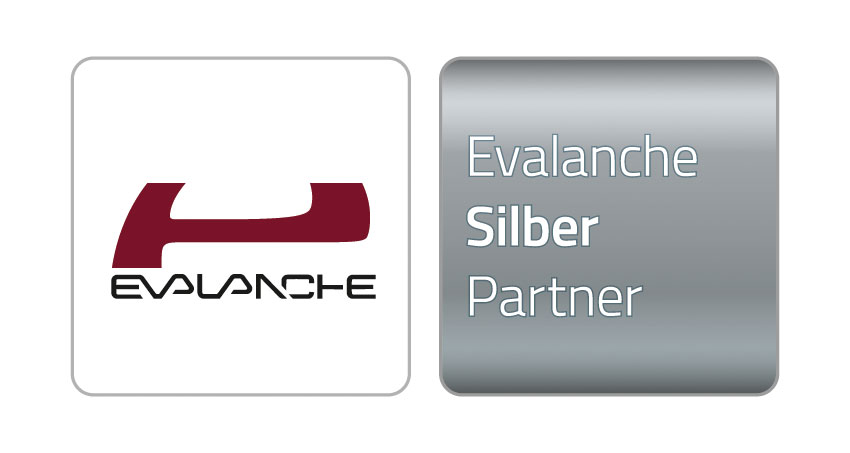 Evalanche Silber-Partner